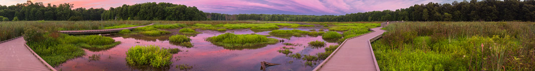 Huntley Meadows Park